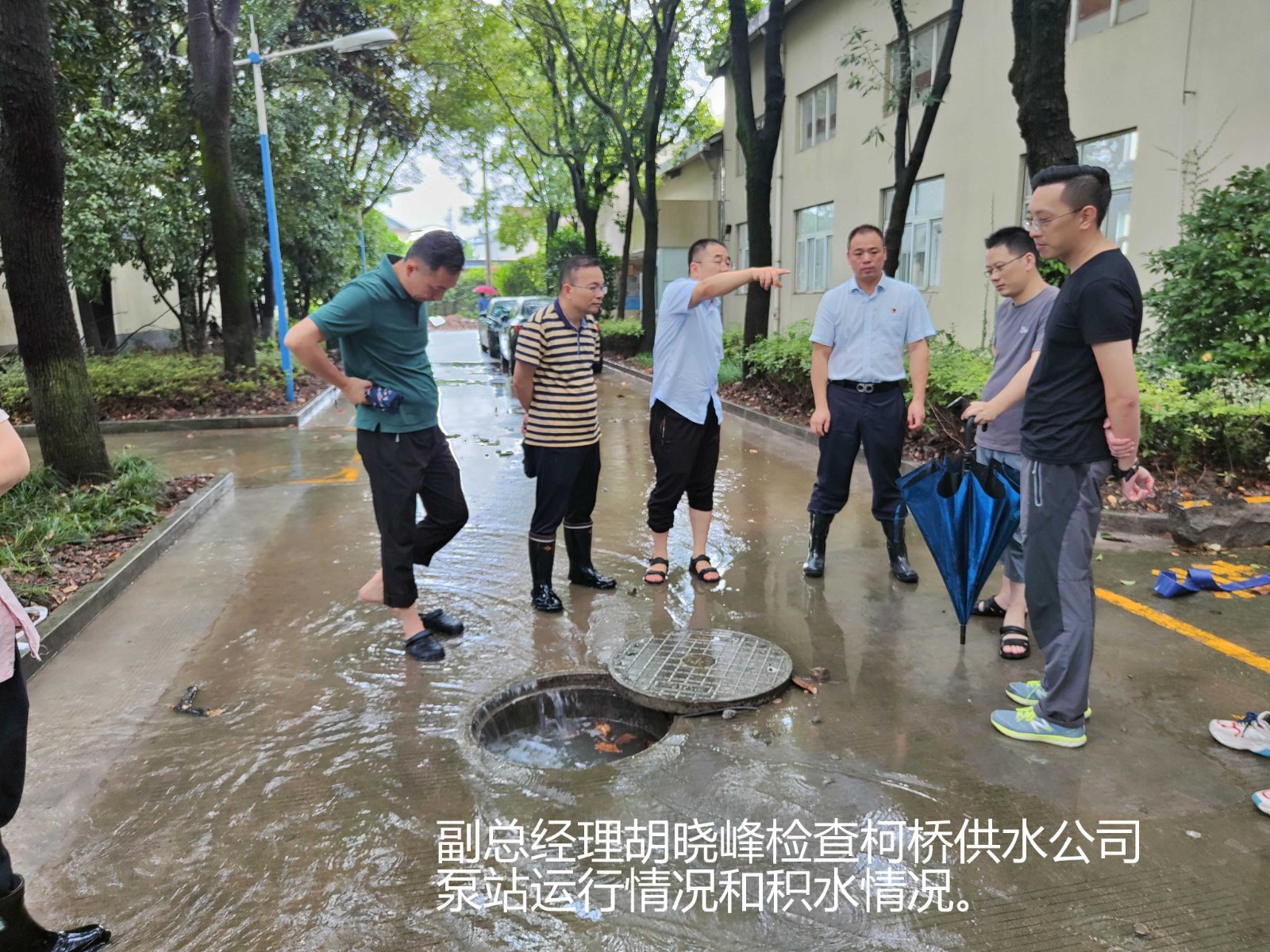 1627523873533783.jpg 1627523873533783.jpg